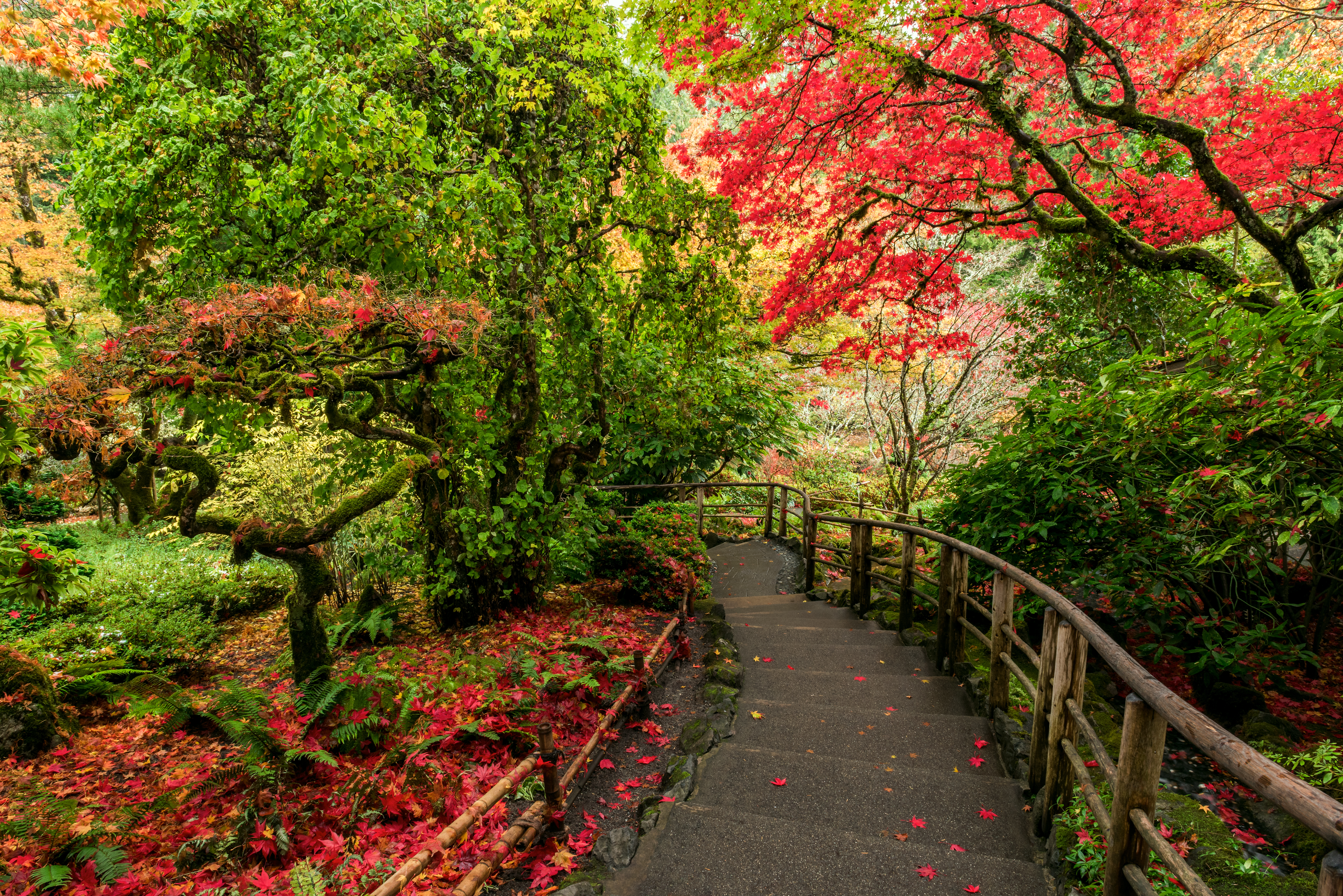 Featured Scenic Photo